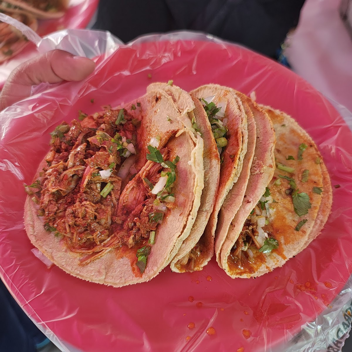 Taquitos de Mixiote Castelan