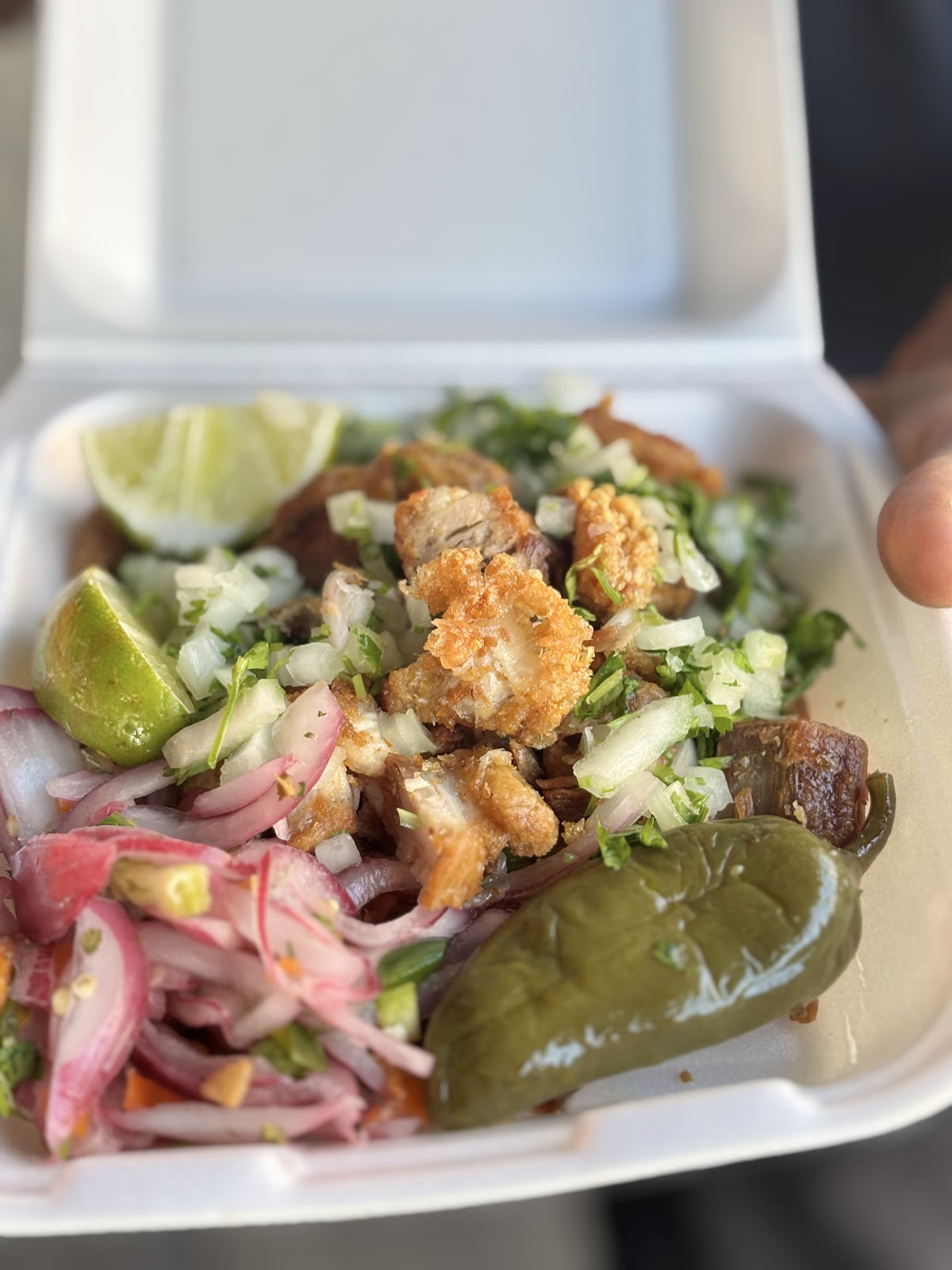 Carnitas Y Chicharrones El Gallo